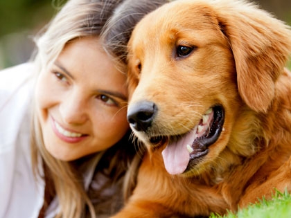 /12Ideas_Animal_Friendly_Service_0917_606955783.jpg