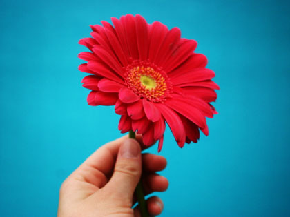 /13Ideas_Welcome_First_Time_Guests_With_a_Flower_1206_819847553.jpg