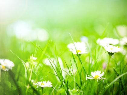 /14Ideas_Spring_Brings_Fresh_Opportunities_for_Outreach_0317_303922815.jpg