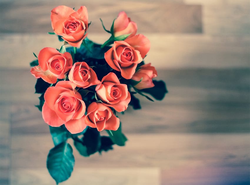 roses