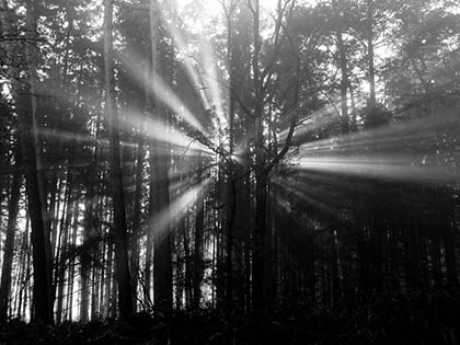 17-Feature_Race and the Gospel How Can We Move Beyond a Broken Witness Part 4_OLDSize-1229