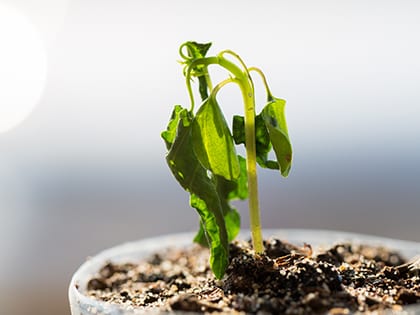 18_0531_LEADERSHIP_How to Be Sure Your Church Wont Grow_OLDSize