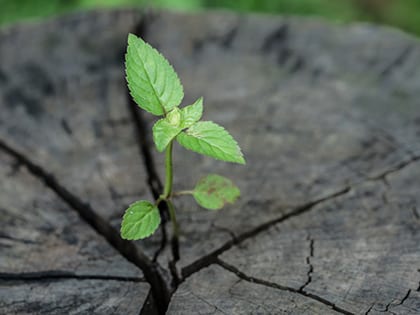 18_0627_LEADERSHIP_7 Intangibles Needed in Leading Church Revitalization_OLDSize