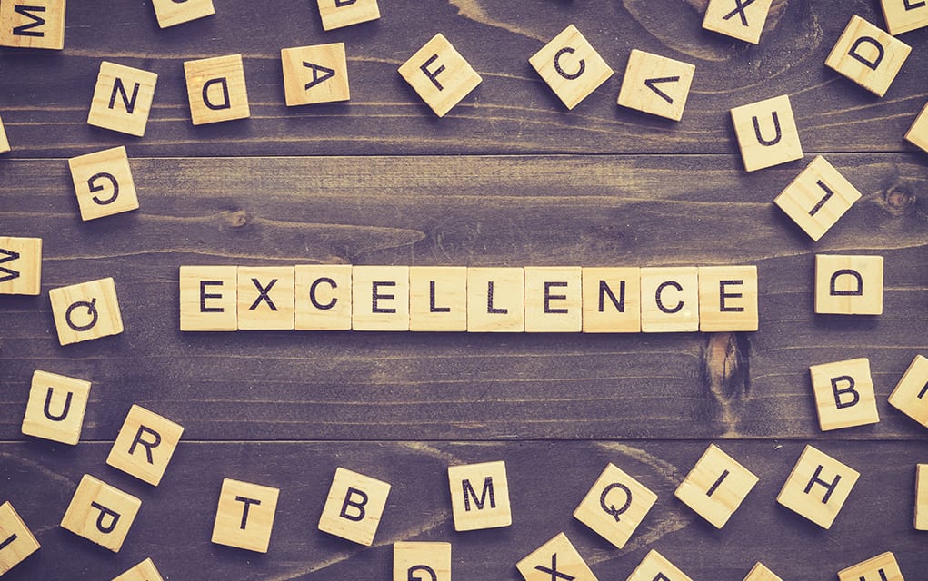 WHAT DOES EXCELLENCE MEAN visual data 2