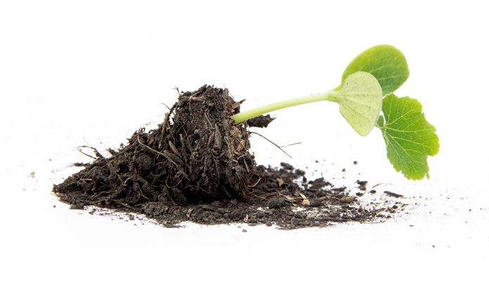 19_1022_CHURCH PLANTING_My Top 6 Mistakes as a Church Planter_1021x640