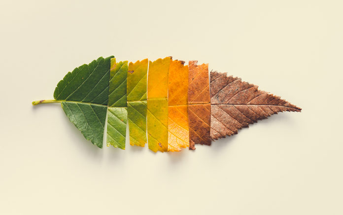 19_1219_LEADERSHIP_The 4 Seasons of Church Leadership_1021x640