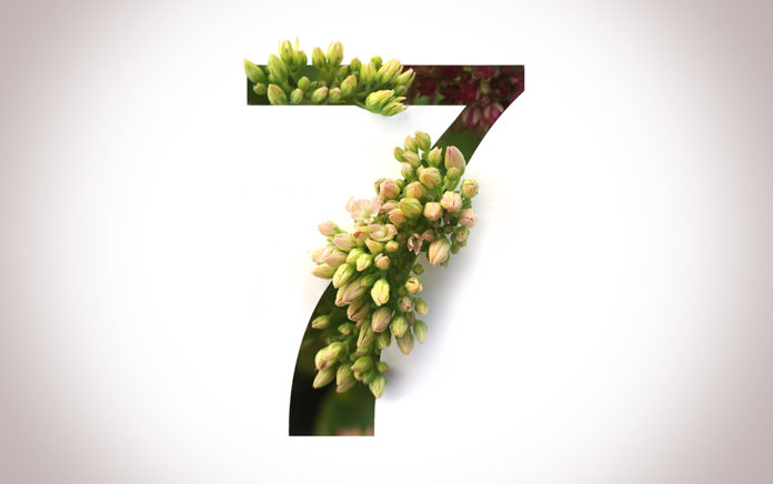 19_1224_LEADERSHIP_7 Helpful Skills for Pastors Who Want to Grow Churches_1021x640
