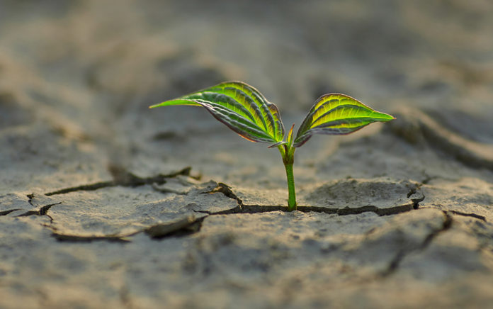 20_0122_DISCIPLESHIP_Hope Endures_1021x640