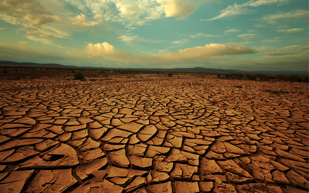 How God Grows Us in Times of Spiritual Dryness