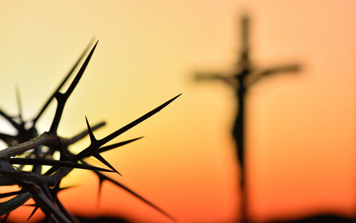 21_0527_DISCIPLESHIP_The Gospel Significance of Thorns, Thistles and Sweat_1021x640