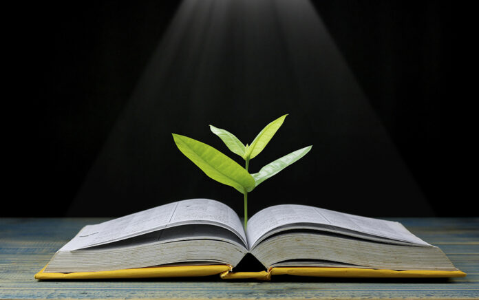 21_0826_LEADERSHIP_How to Grow Your Wisdom_1021x640 grow wisdom