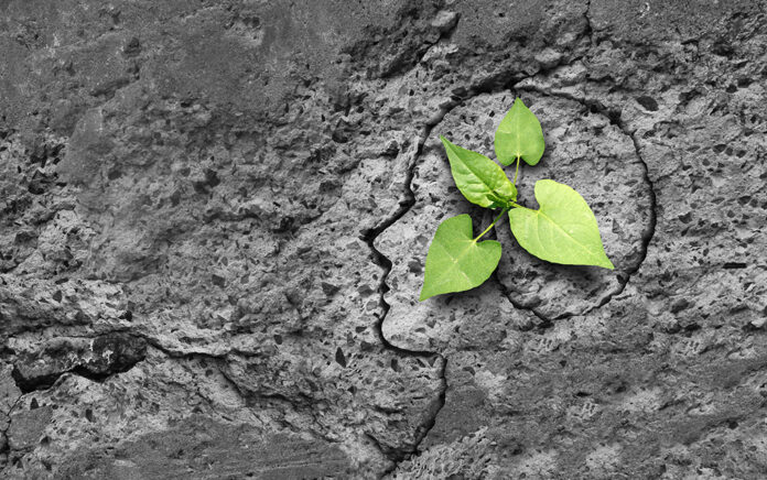 22_0615_DISCIPLESHIP_Can Hardship Really Be Good_1021x640 trouble-free life