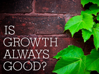 /12Feature_Growth_0822_809551289.jpg