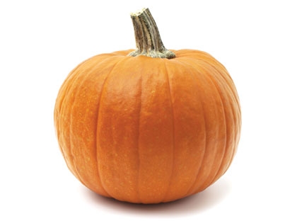 /12Ideas_pumpkinpatch_0914_389191085.jpg