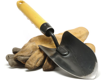 /13Ideas_Plan_a_Community_Garden__0705_636729257.jpeg