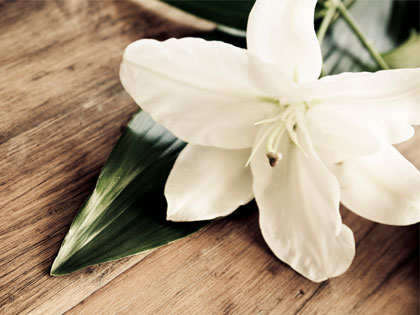 /13Ideas_Thank_Public_Servants_With_Lilies_0213_768058655.jpg